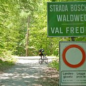 salurnberg waldweg val fredda